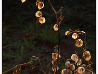 12 월 13 일 토요일 출석..