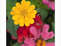 12 월 2 일 화요일 출석부..