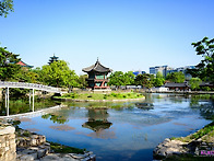 5월 1일 목요일 사진방 출..