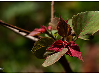 3 월 24 일 화요일 출석부..