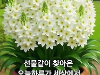 9 월 9 일 수요일 출석부 ..