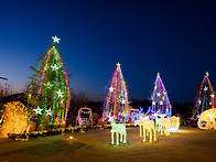 12월 1일 월요일 사진방 ..