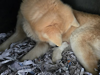 순이 출산합니다.