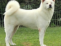 1년만에 첫 꽃도장.