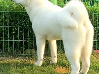 설이 7개월