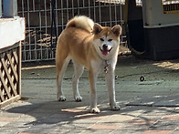 제리근황입니다^^