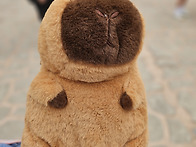 카피바라 가방 귀엽네요