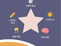 "시니어 스도쿠" 출판 , 복두출판사, 김종..