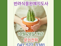 10월 28일 반려식물원예지..