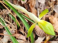 소심을 만났습니다