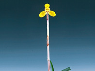 새만금(새萬金)