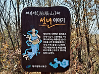제216차 정기산행 태복산(..