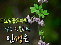 목요일