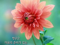 벌써 목요일