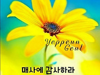 6월에는