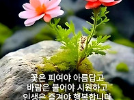 목요일