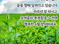 5월 마무리 잘하세요
