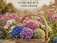 행복한 수요일