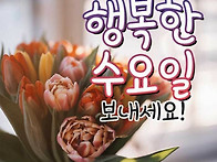 싱그러운 여름날