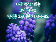 기분좋은 수요일