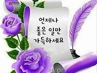 수요일