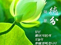 수요일