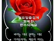 6월