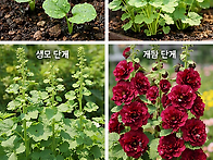 새로운 시작... 종자 공유..