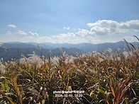 2026.10.11 민둥산 사진 ..
