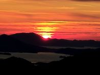 26년 병오년 새해