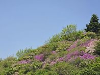 지리산 바래봉 철..