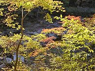 오대산 선재길 트..