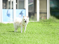 루이