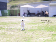 행복