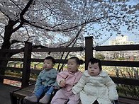 첫 바깥놀이를 다녀왔어요..