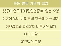 과학적 원리로 만들어진 ..
