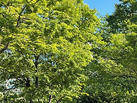 산책갔다왔어요~~~