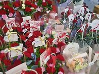 카네이션사요