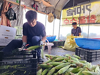 어느 앵글러의 소식