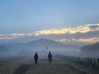 아침을 여는 여인들