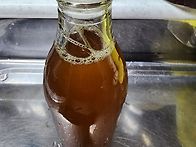 3월 4일날 파종한..