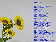 길 따라 가는 사진 여행(..