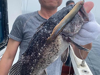 6월 정기출조 사진