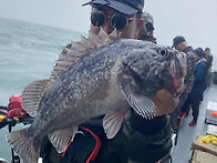 5월22일 뉴라이브호 선낚동..