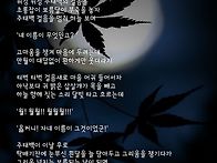 月 月 月!
