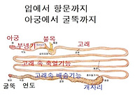 火曜 窩穴秘訣/ 43, 고랫..