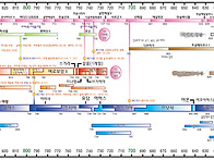 열왕도표 (이스라엘 왕의 ..