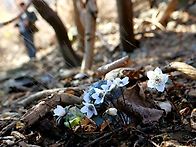 2022.2.27 돌산 변산바람..