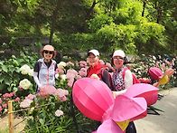 월아산 숲속의 진주