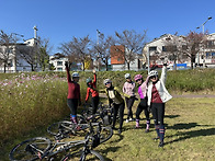 11월3일(월)자운대